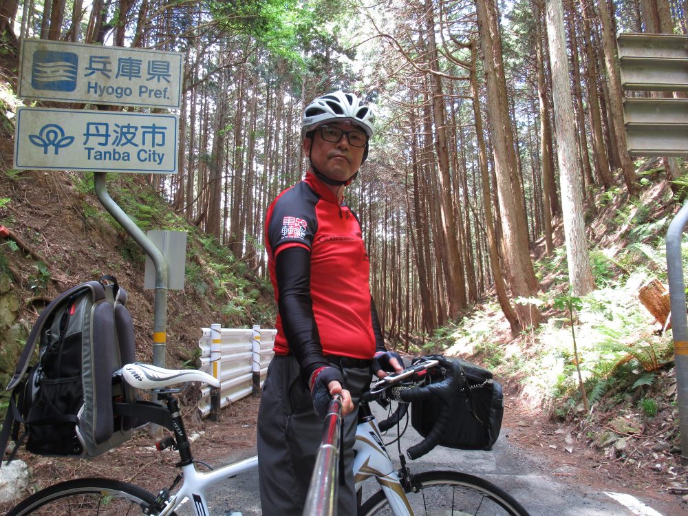 スギ林で雰囲気のいい峠