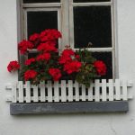 スイス　建物の窓辺に咲き誇るお花はゼラニウムやペチュニア