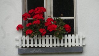 スイスの建物窓際にはお花が