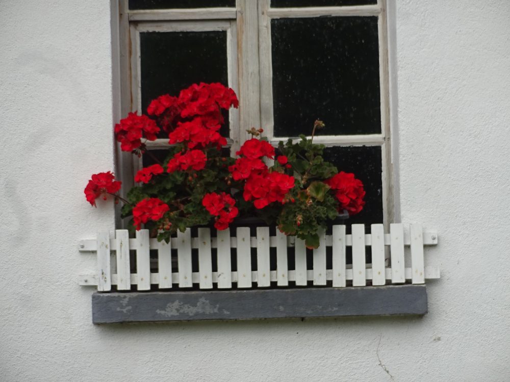 スイスの建物窓際にはお花が