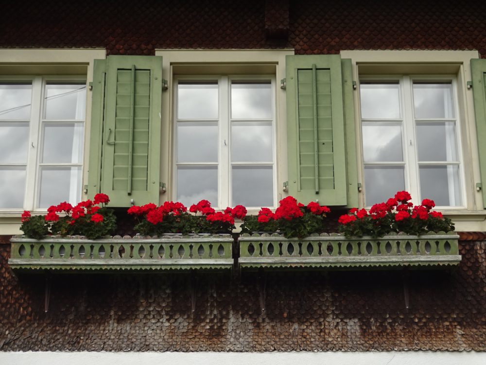 スイス 建物の窓辺に咲き誇るお花はゼラニウムやペチュニア