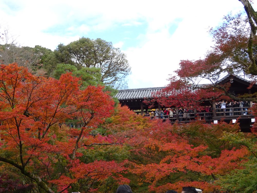 東福寺紅葉