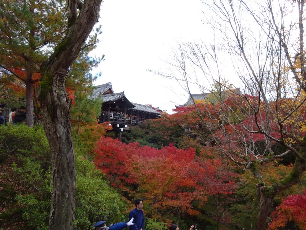 東福寺紅葉