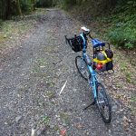 バニラエア特売で奄美大島自転車旅行２日目その２