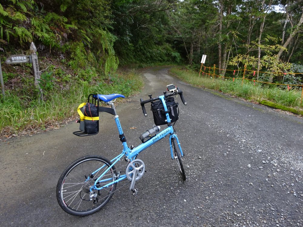 道は舗装路へ