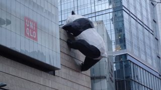 巨大パンダがビルを登る