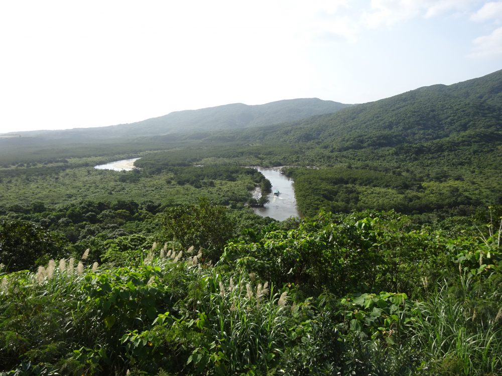 大富林道仲間川展望台