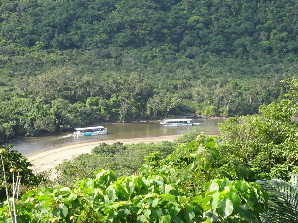 大富林道仲間川展望台