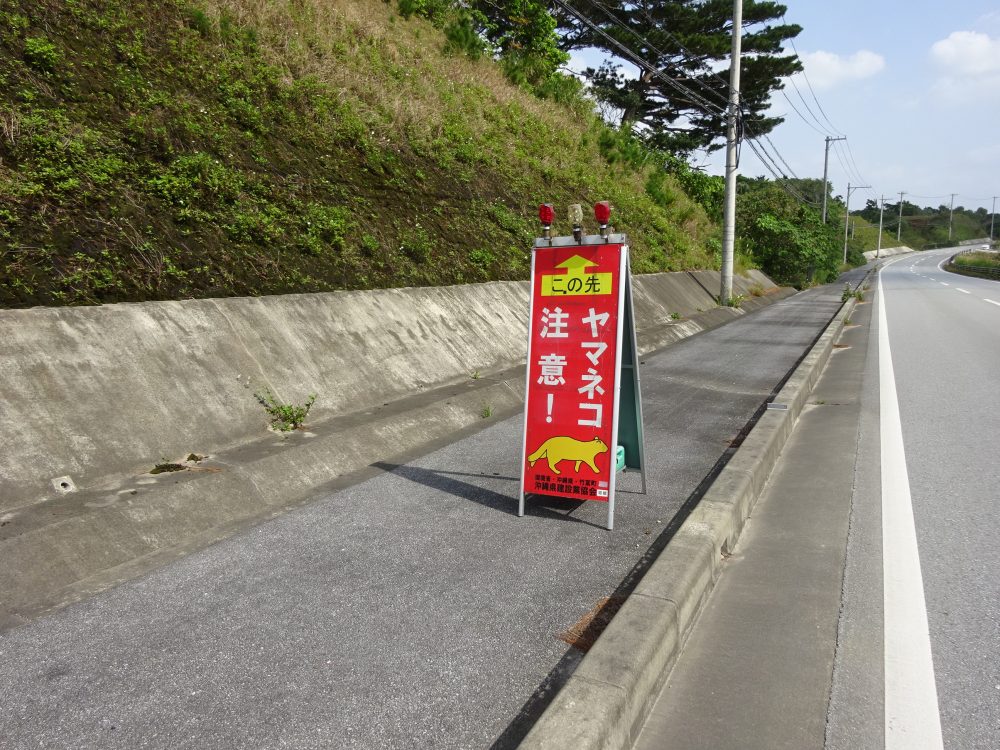 イリオモテヤマネコ注意の看板