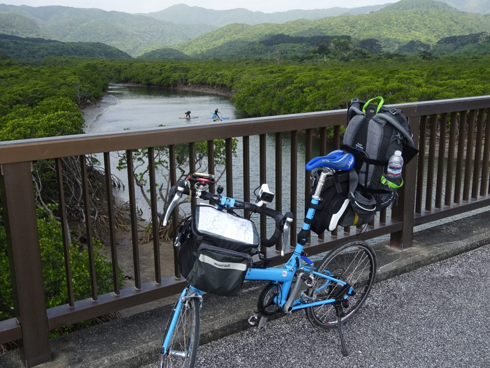 川ではカヌーを楽しむ人が