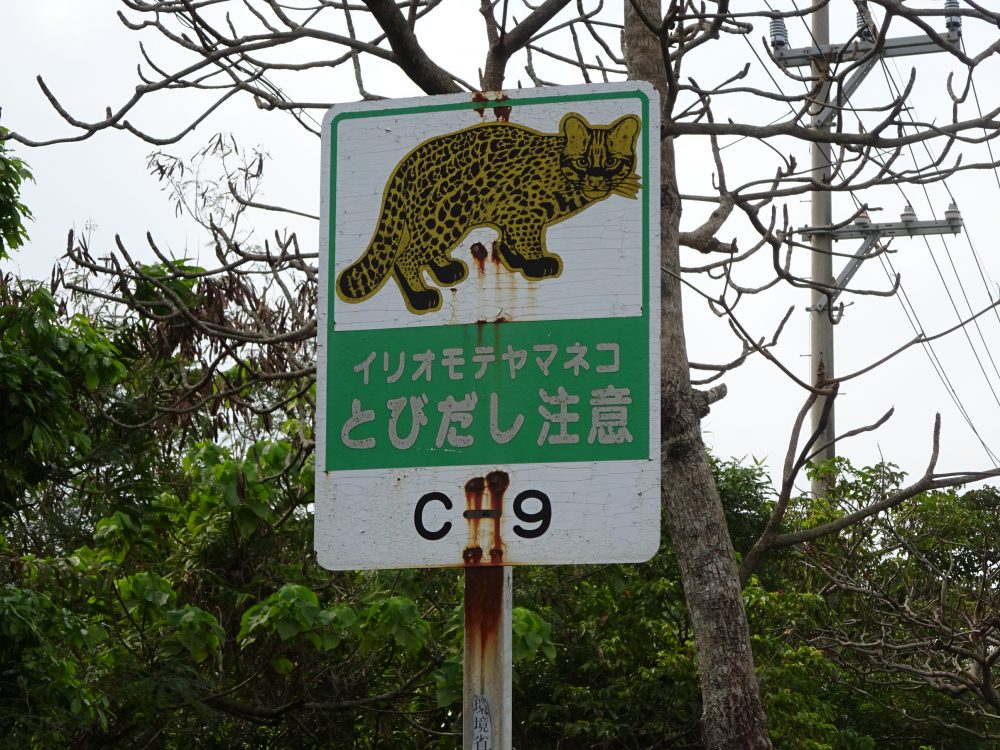 イリオモテヤマネコ注意の看板