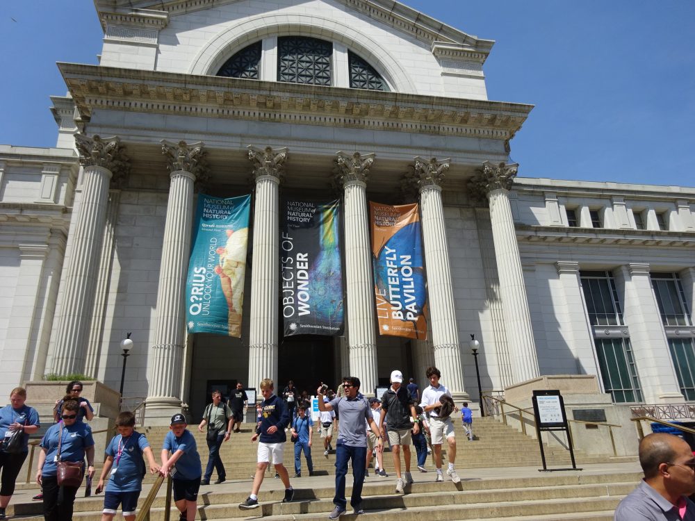 National Museum of Natural History