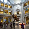 国立自然史博物館National Museum of Natural History