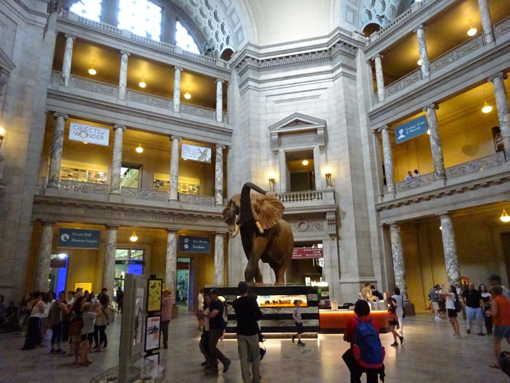 National Museum of Natural History