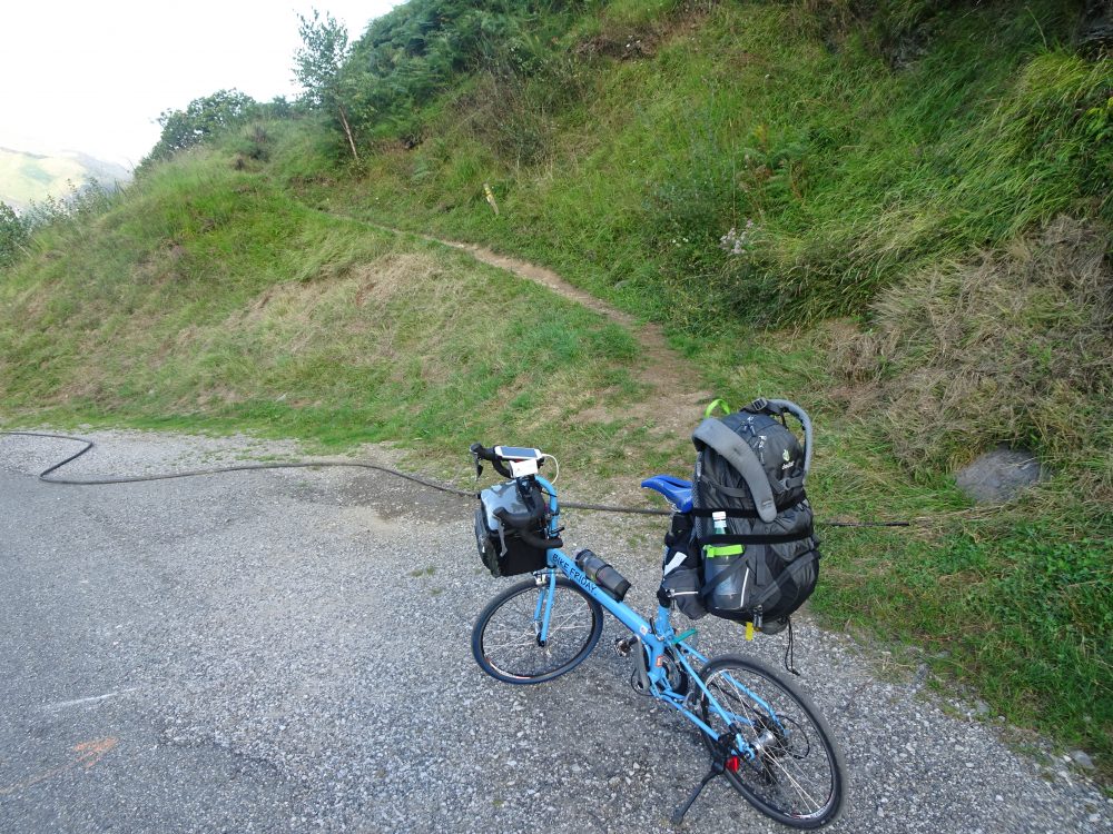 次の分岐は山道に