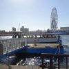 橋と渡船で巡る大阪湾岸ポタリングはプチしまなみ海道のよう？その１