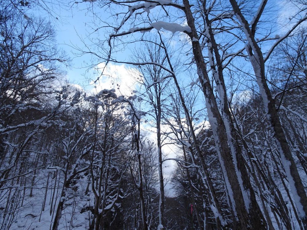 青空