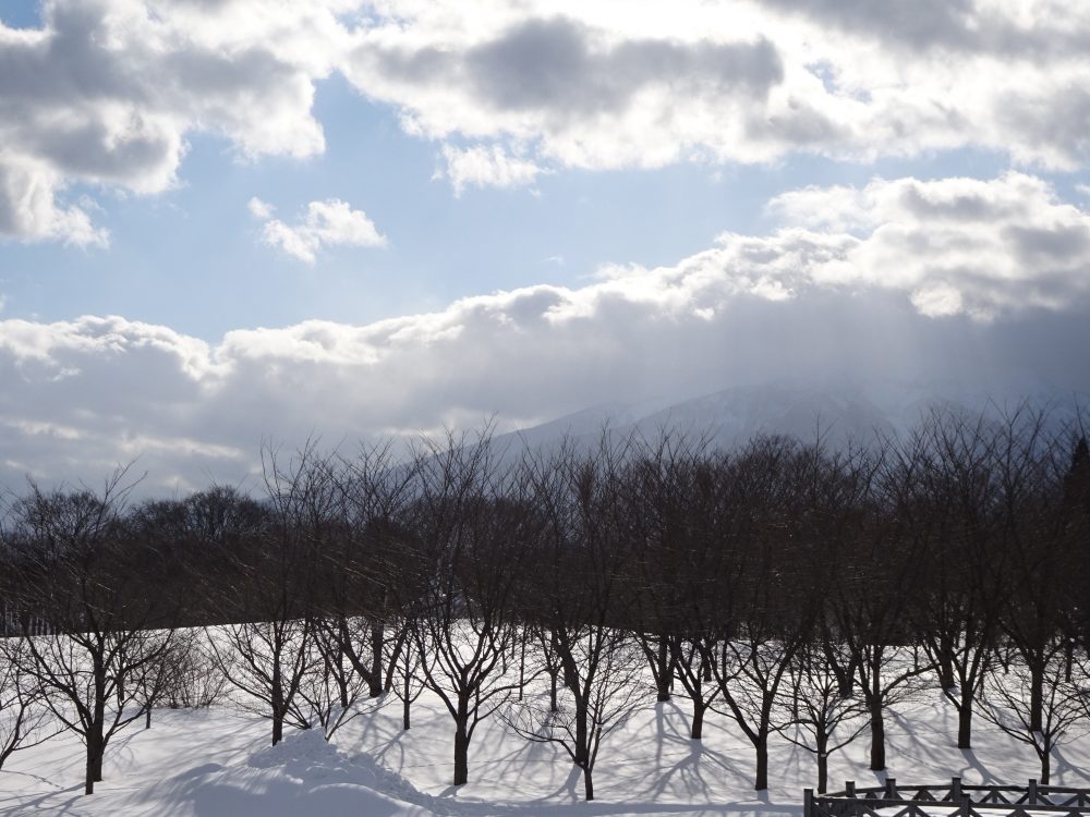 岩木山は雲の中