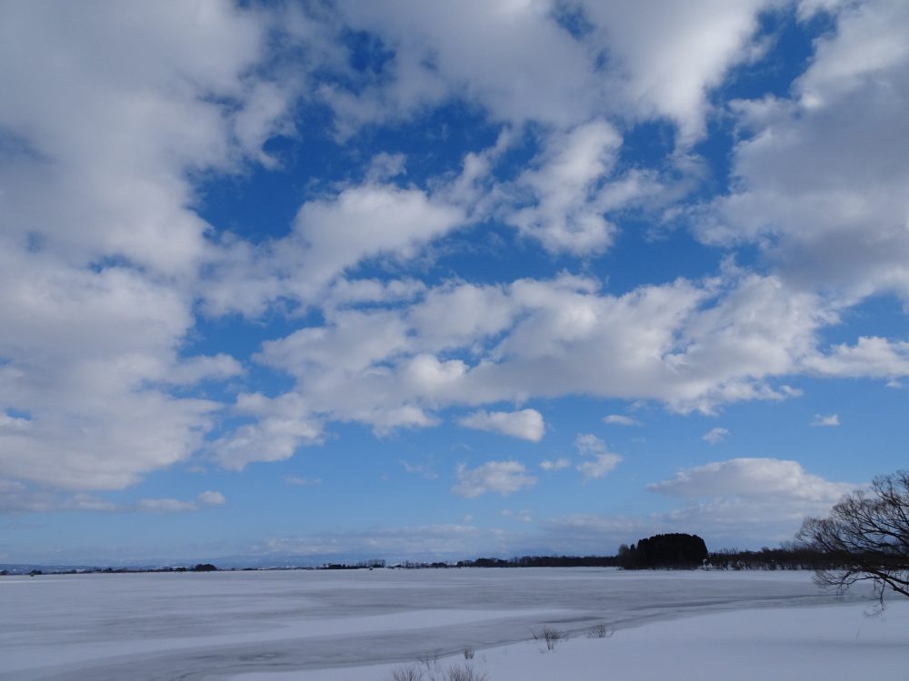 空がキレイ