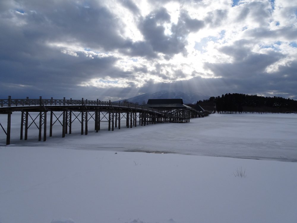 鶴の舞橋（つるのまいはし）渡り切りました