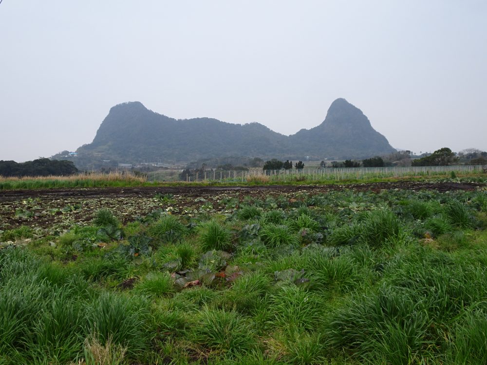 指宿スヌーピーの山