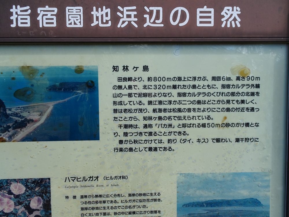 知林ヶ島