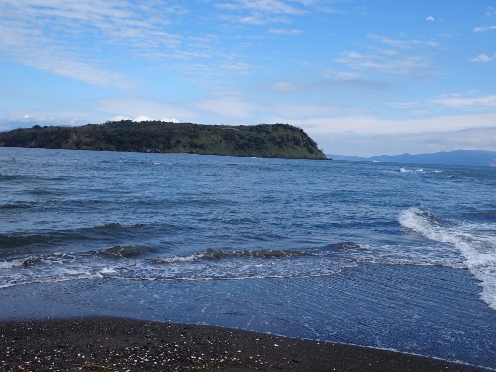 知林ヶ島