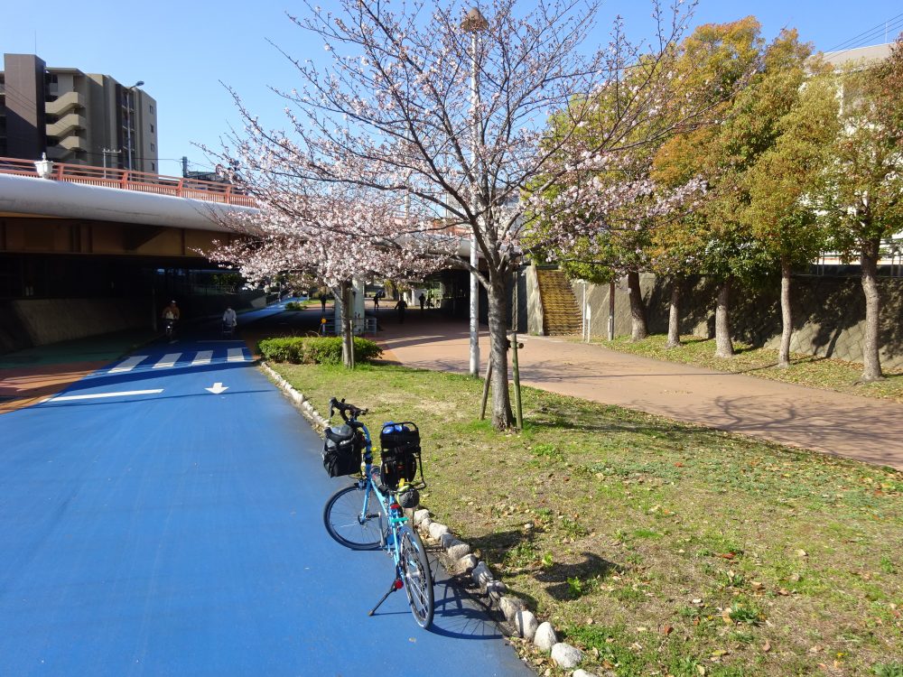 西淀川区緑陰道路の桜