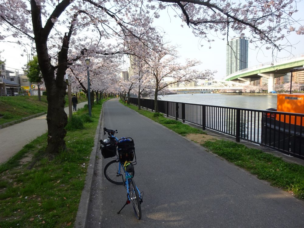 淀川を登り毛馬橋から桜ノ宮方面へ