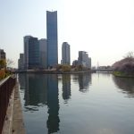 毛馬橋から桜ノ宮を経て大阪城公園、桜を見ながらBikeFrydayポタリング