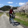丹波篠山宮田川沿いの桜、誰も居なかったのでBikeFridayに乗って写真撮影をしてきました。