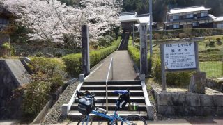 松隣寺の桜