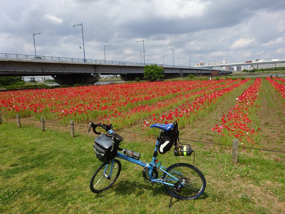 荒川お花畑とBikeFriday