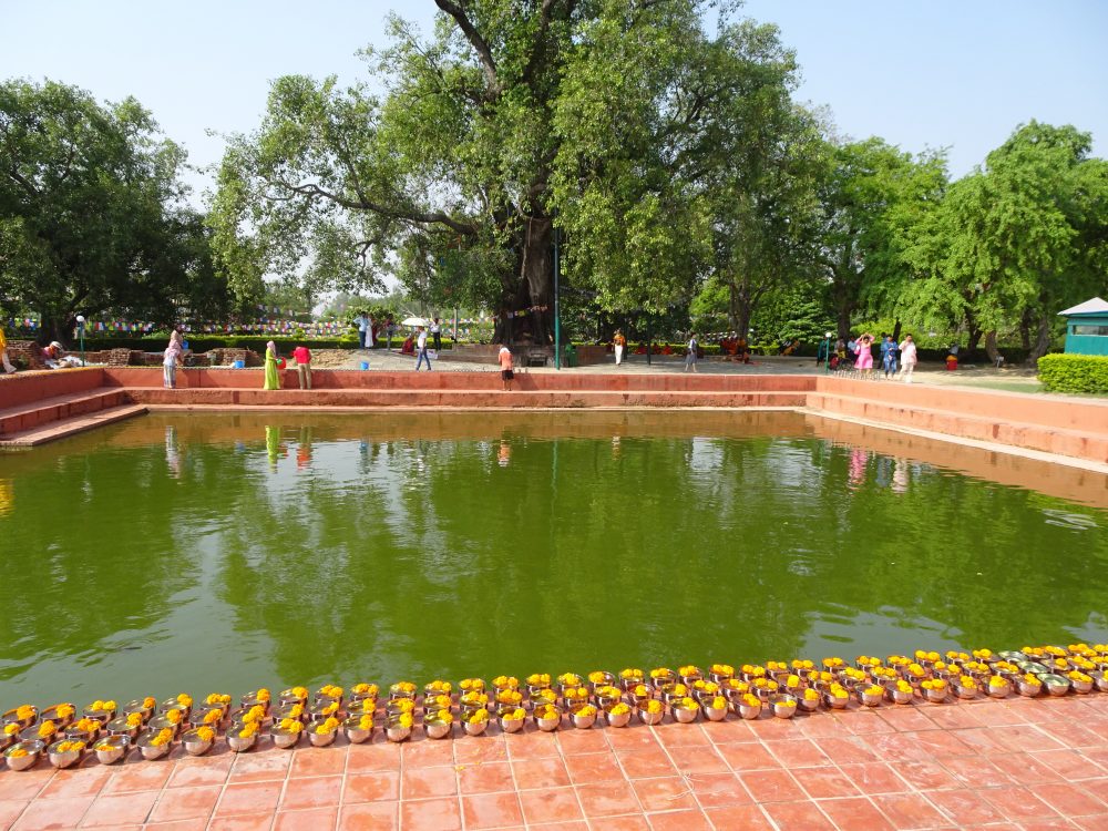 マヤ・デヴィ寺院の神聖な池