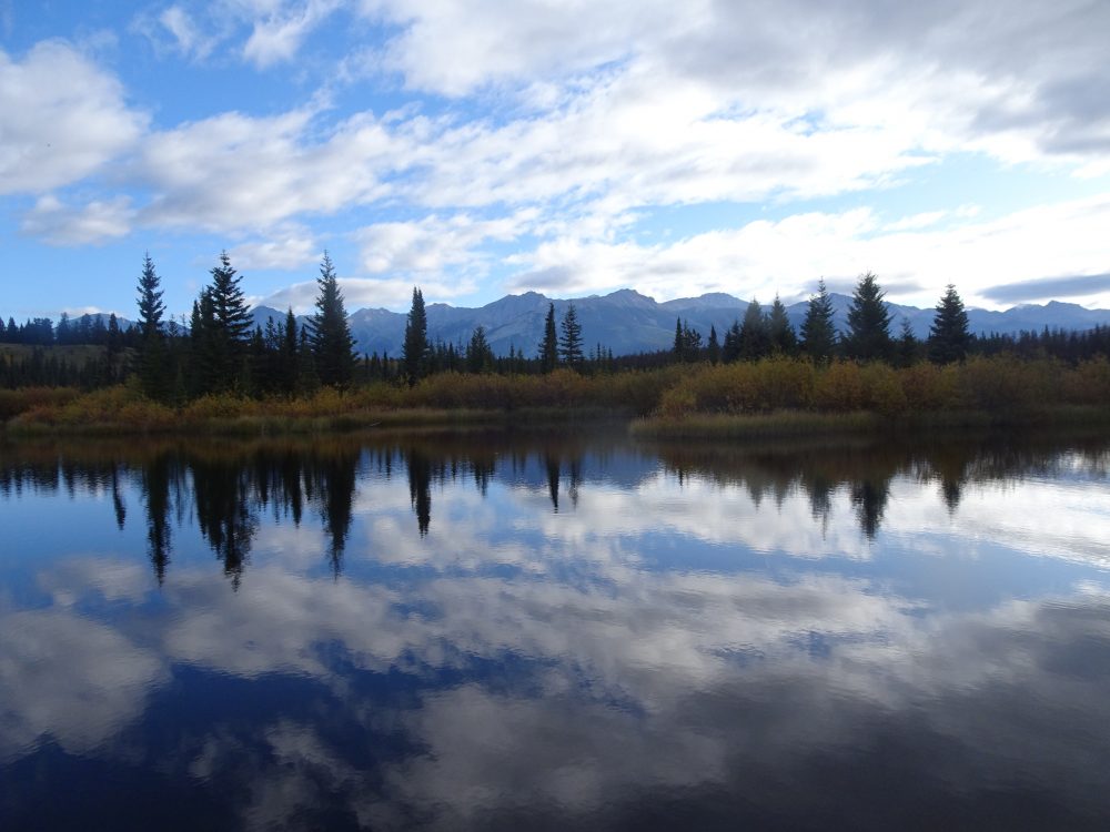 ジャスパー近郊Cottonwood Slough