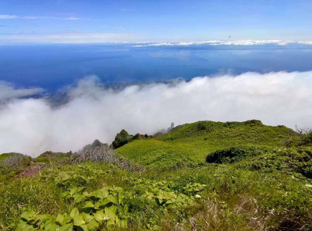 利尻山山頂からの景色