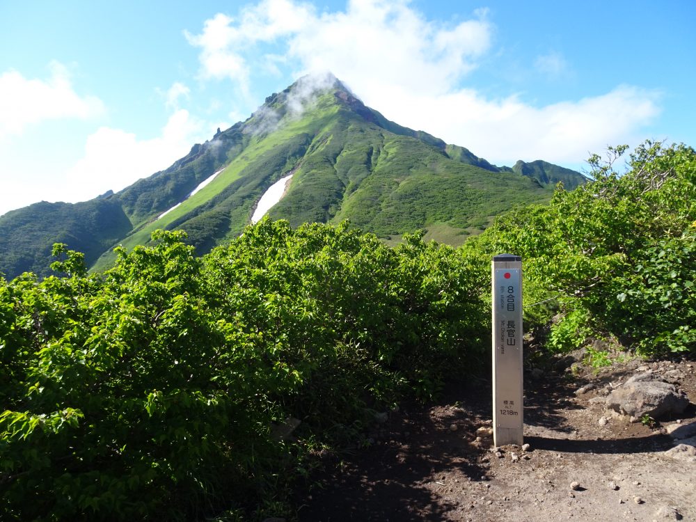 長官山からの利尻山