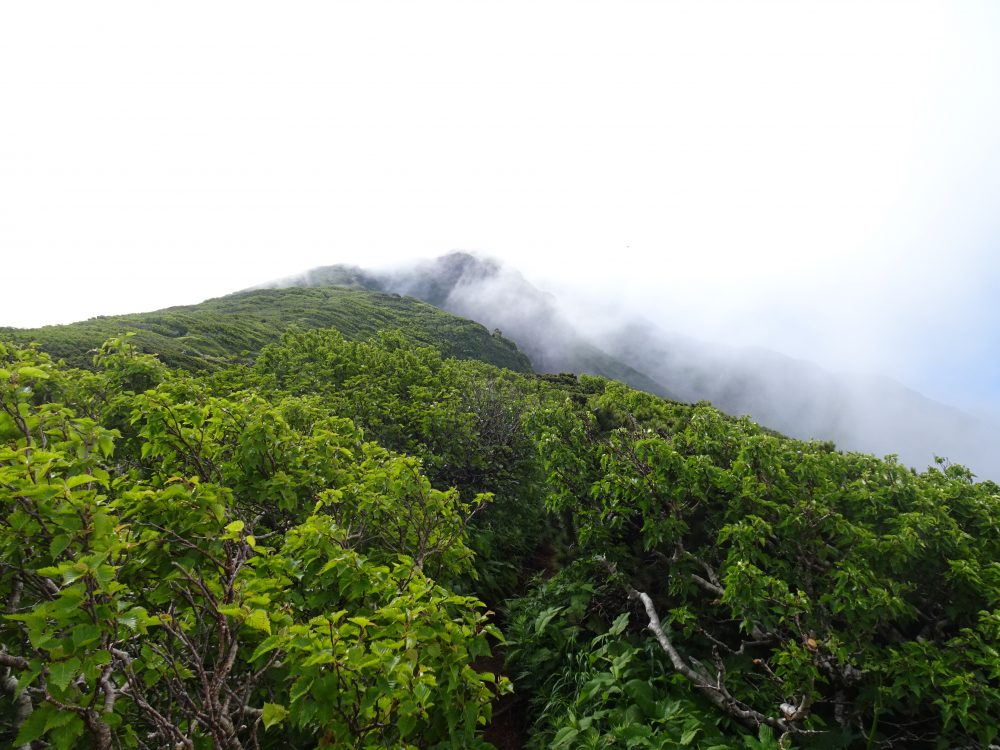 10分後には利尻山は真っ白に