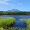 快晴でした。オタトマリ沼からの利尻山は最も男性的な勇姿だと思う