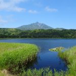 快晴でした。オタトマリ沼からの利尻山は最も男性的な勇姿だと思う