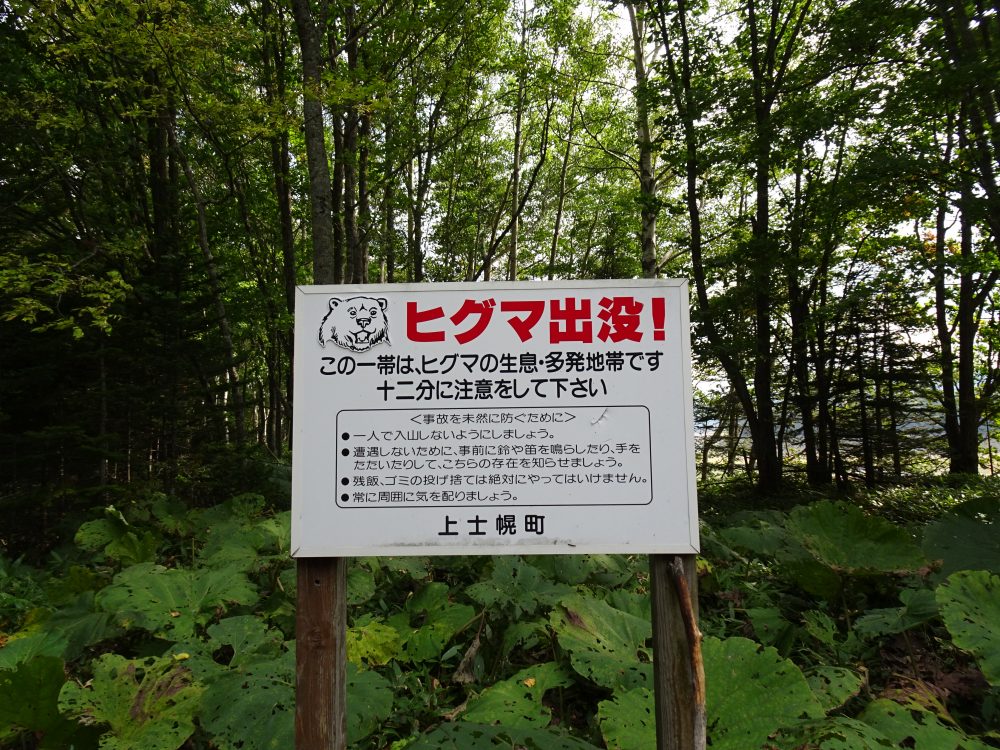 自転車で走りタウシュベツ川橋梁の間近へ