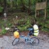 青森、函館自転車旅2日目雨天の中恐山へ