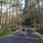 八丈島の三原林道で三原山へ山岳サイクリング